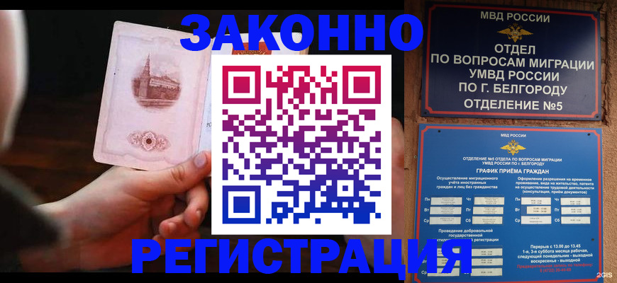прописка 2025 в Почепе